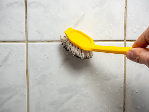 Mold Testing and Removal in Cedar Hill, TX